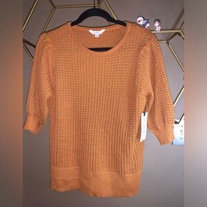 Terra & Sky, s/s sweater top. Women’s 14 $4